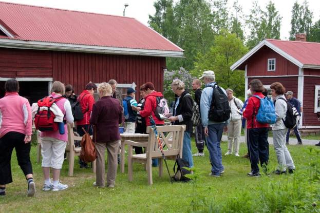 Harsun pihalla vipinää