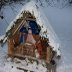 Kotipihan seimi Marttilankadulla