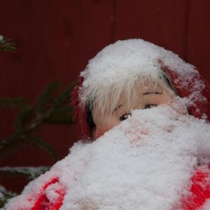 Sipsu silmätarkkana ulkona