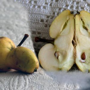 Omenasiiamilaiset Harsulla